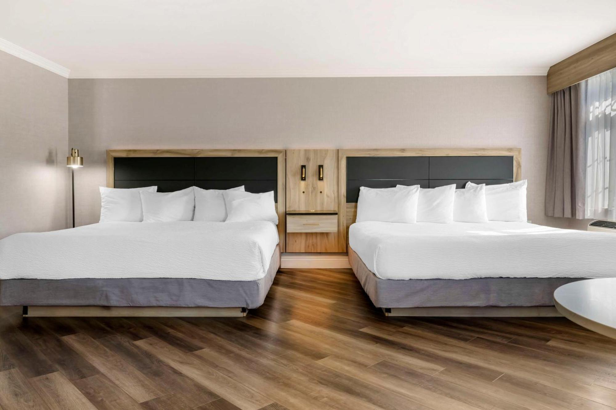Best Western Plus Edmundston Dış mekan fotoğraf